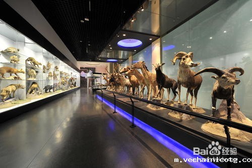 博物馆的意义和作用